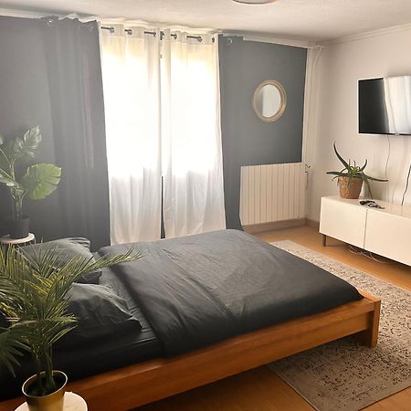 Guibert Home - Studio 2 Personnes Вільнев-ле-Руа Екстер'єр фото
